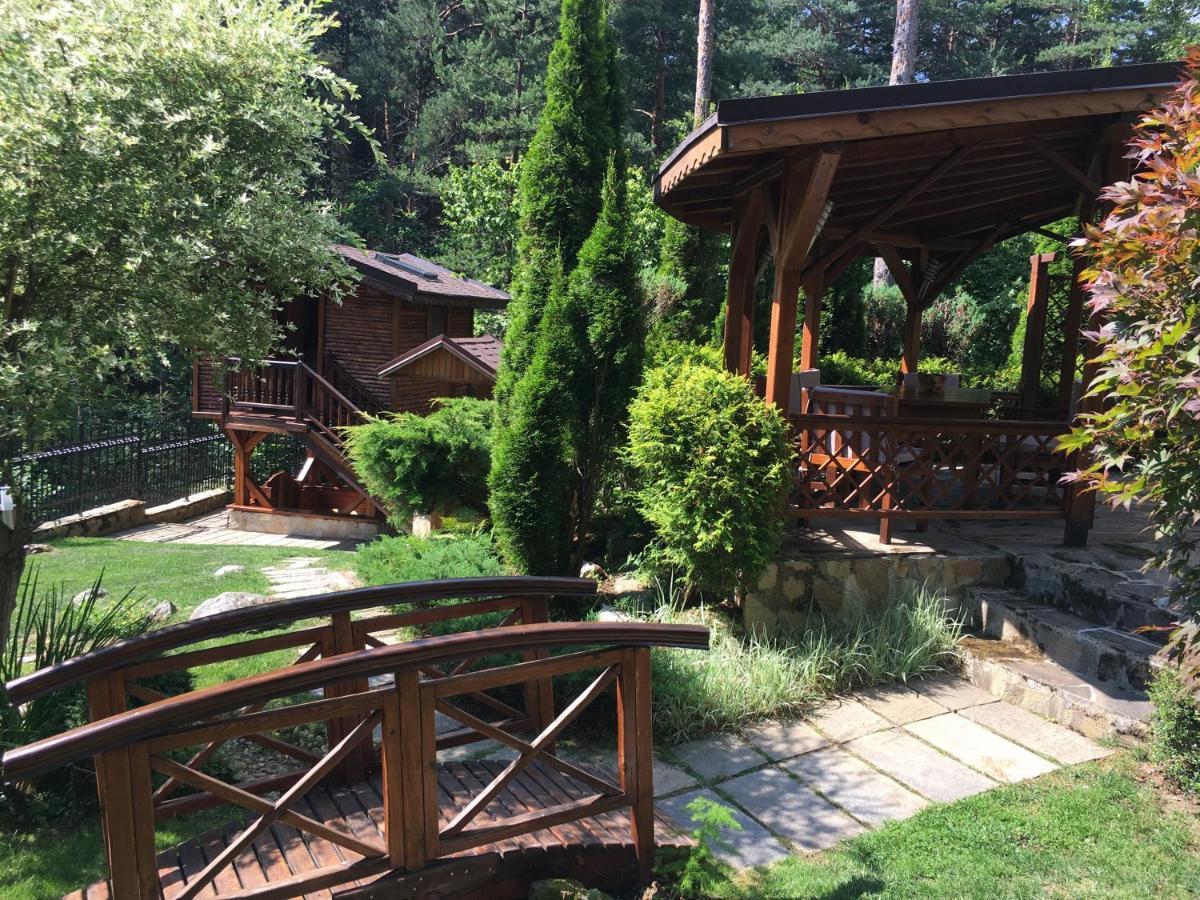 Luxury Villa Borina Zheleznitsa Exterior photo